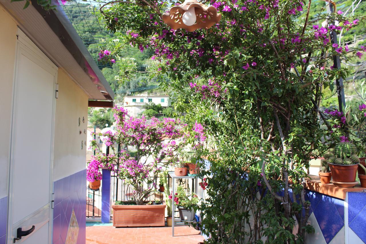 Reginella Bed & Breakfast Cetara Exterior photo